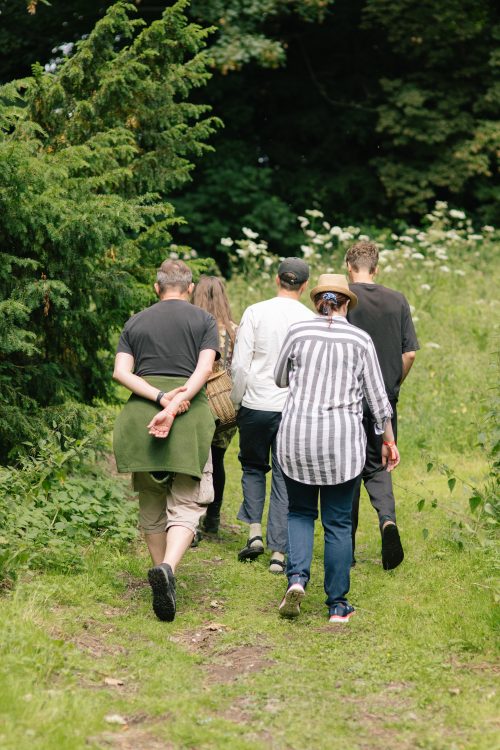 Foraging And Wilderness Walks